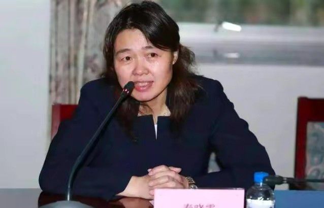 我女朋友妈妈2