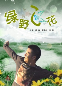 三级全黄的视频