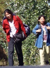 青春草免费视频