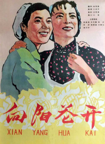 国产午夜不卡精品午夜电影