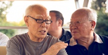 青春草在线视频免费观看