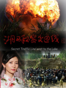 危险的爱情日记