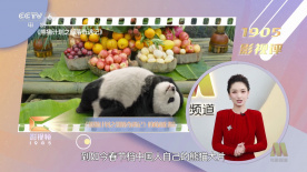 亚洲国产精品免费
